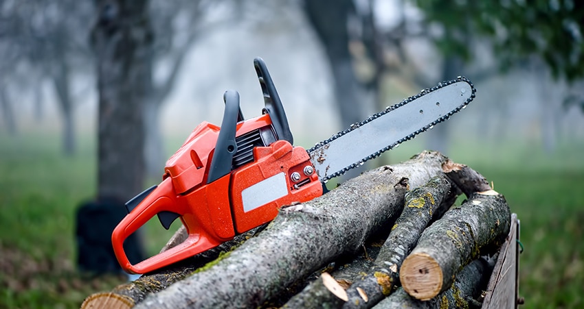 entreprise abattage déssouchage arbre