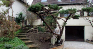Réalisations élagueur essonne