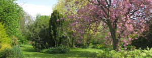 élagueur, abattage d'arbres, débroussaillage