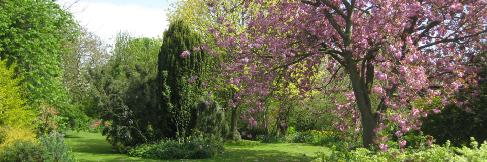 Des Élagueurs Qualifiés pour votre Jardin