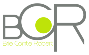 élagueur brie comte robert