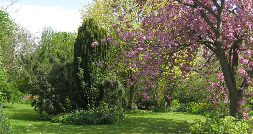 Peut-on élaguer ses arbres au printemps ?