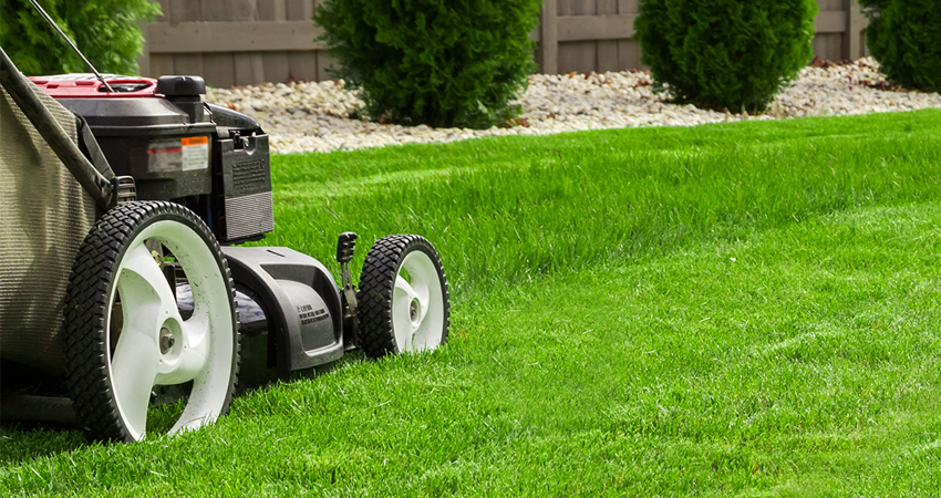 Prendre soin de votre pelouse au printemps