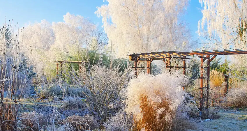 comment hiverner son jardin